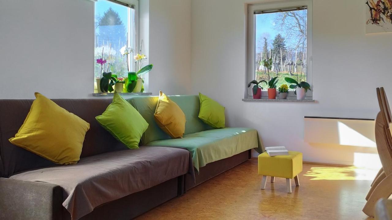 Apartments Vinska Trta Catez ob Savi Eksteriør billede