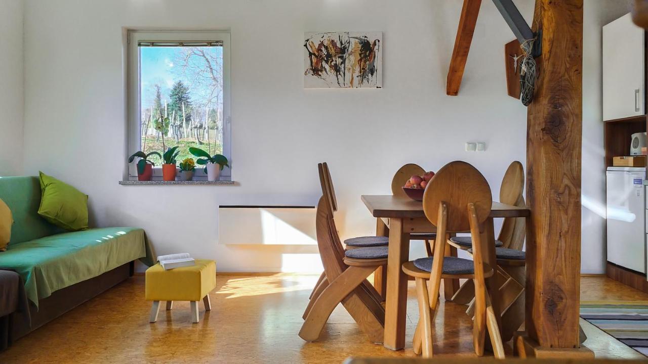 Apartments Vinska Trta Catez ob Savi Eksteriør billede