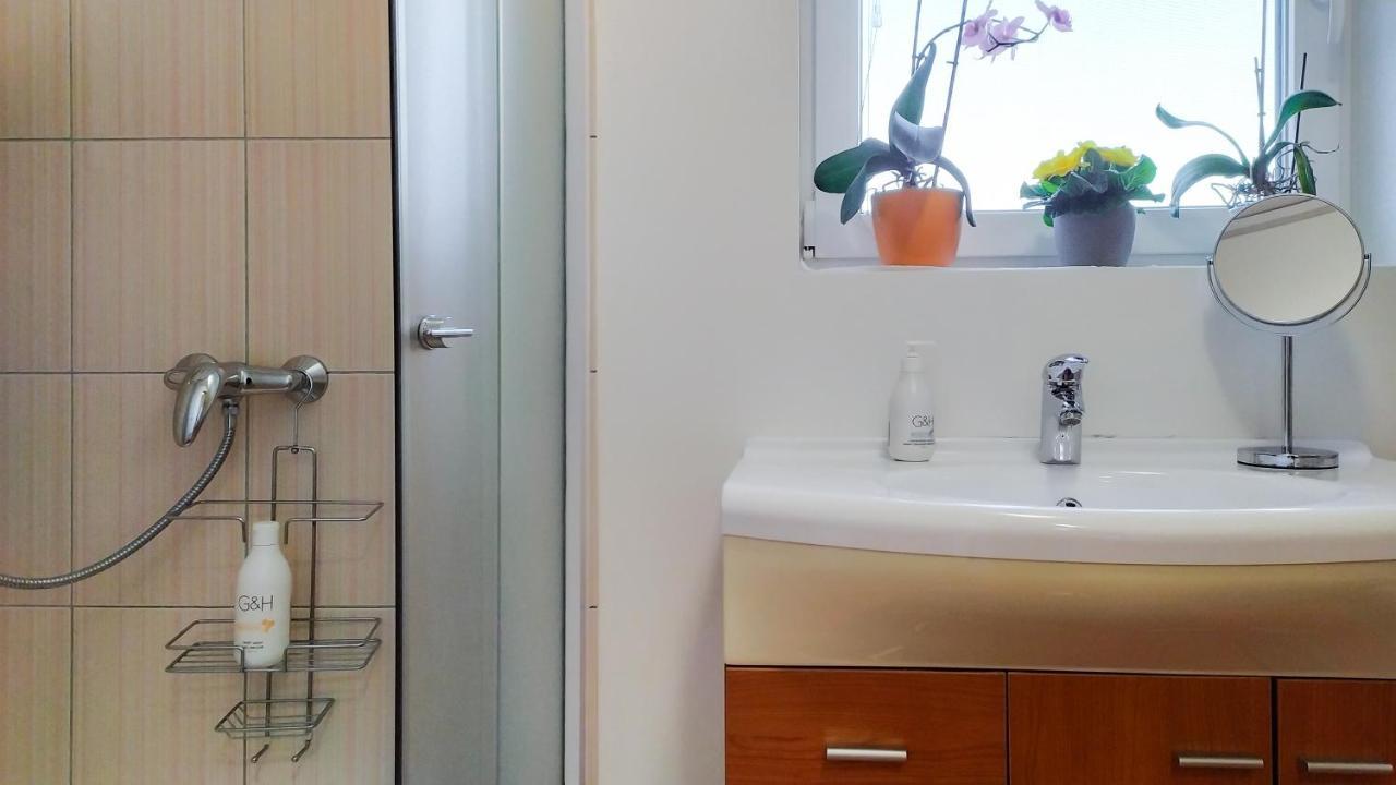 Apartments Vinska Trta Catez ob Savi Eksteriør billede